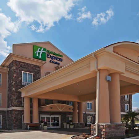 Holiday Inn Express Hotels & Suites Jacksonville By Ihg Exteriér fotografie